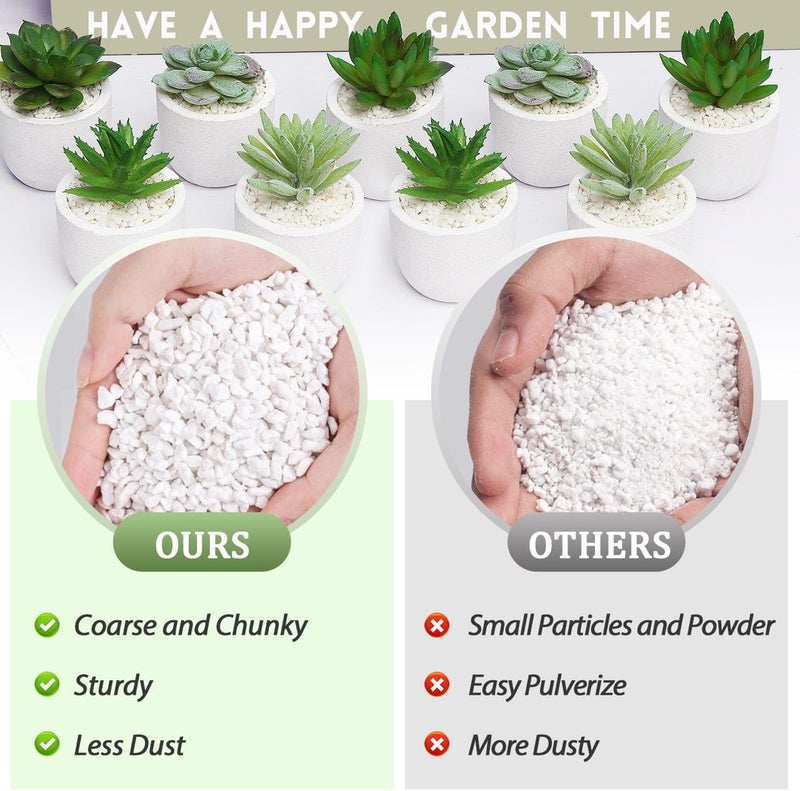 Riare 2 Quarts Organic Perlite for Plants - Horticultural Perlite Soil Amendment for Plants Potting Mix, Natural Chunky Perlite Soil Additive Conditioner Improve Root Growth, Drainage and Ventilation - Image 4